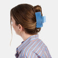 Chunks - Box Claw - Blue Lattice