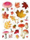 Collage Kit - A Cut and Create Book By Minna Gilligan