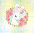 Djeco - Sweet Rabbit's Song Music Box