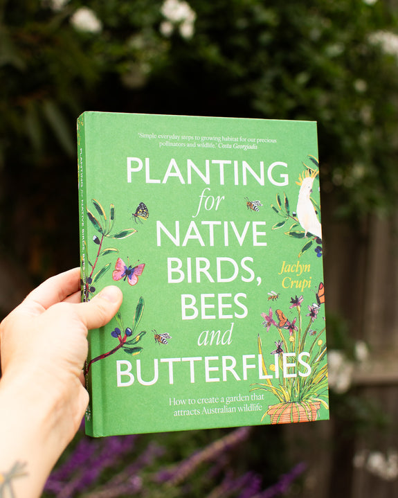 Planting for Native Birds, Bees and Butterflies By Jaclyn Crupi
