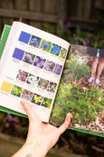 Planting for Native Birds, Bees and Butterflies By Jaclyn Crupi