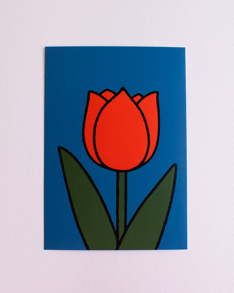 Miffy - Postcard - Miffy Tulips