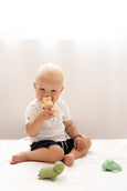 Tikiri - Rubber Turtle Teether
