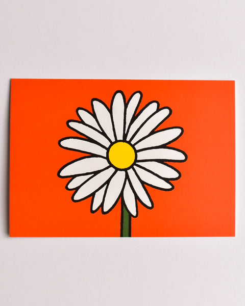 Miffy - Postcard - Daisy
