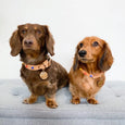 Nice Digs - Smooth Spike Leather Dog Collar - Memphis Tan - XL