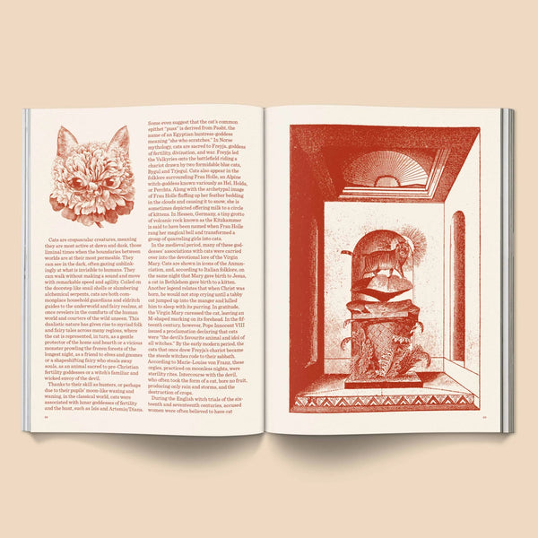 Broccoli - Catnip Magazine