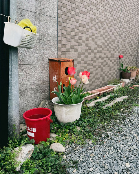 Emily Green - Kyoto Tulips - Giclee Print