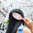 Solar Eclipse - Amazing Hair Day Brush - Hand-Painted Swan