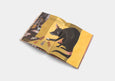 Garbage Dog By Eleni Kalorkoti & Robbie Wilkenson