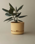 Mr Kitly - Self-Watering Plant Pots - 250mm - PICK UP ONLY