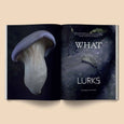 Mushroom People Magazine - Volume 2 - Broccoli