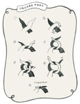 Last Chance Textiles - Cotton Blossom Bandana | Sweet Pea