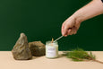 Hi Candle! - Fir Balsam and Monterey Pine