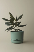 Mr Kitly - Self-Watering Plant Pots - 250mm - PICK UP ONLY