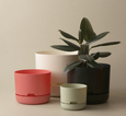Mr Kitly - Self-Watering Plant Pots - 375mm - PICK UP ONLY