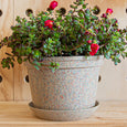 Woljam - Sundae Series Planter - Confetti