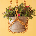 Woljam - Sundae Series Planter - Confetti