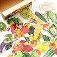 Haco Sticker Box Set - Veggies Market