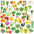 Haco Sticker Box Set - Veggies Market