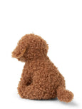 B.T Chaps - Stacy the Labradoodle