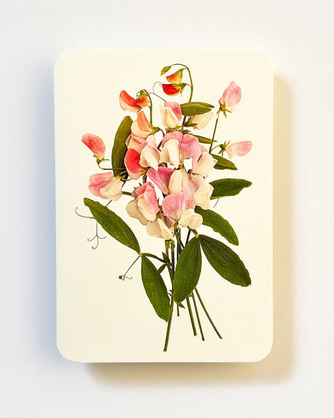 Canonbury Press - Pink Sweet Peas Greeting Card