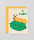 Wrap - Greetings Card - 1 Today Caterpillar