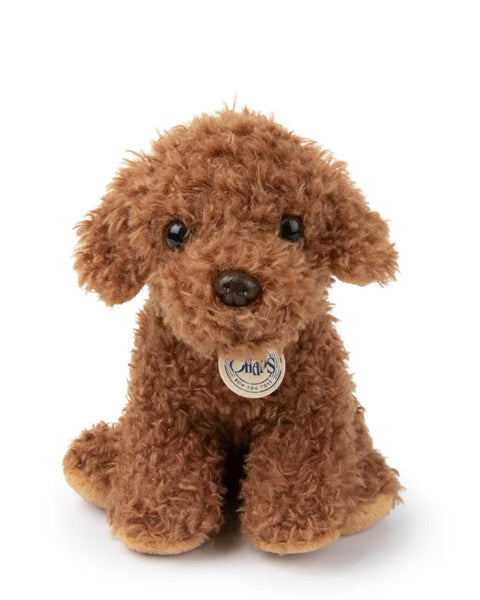 B.T Chaps - Stacy the Labradoodle