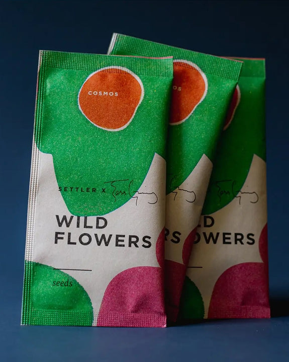 Settler Hives - Cosmos (Tess Guinery Limited Edition Collaboration)