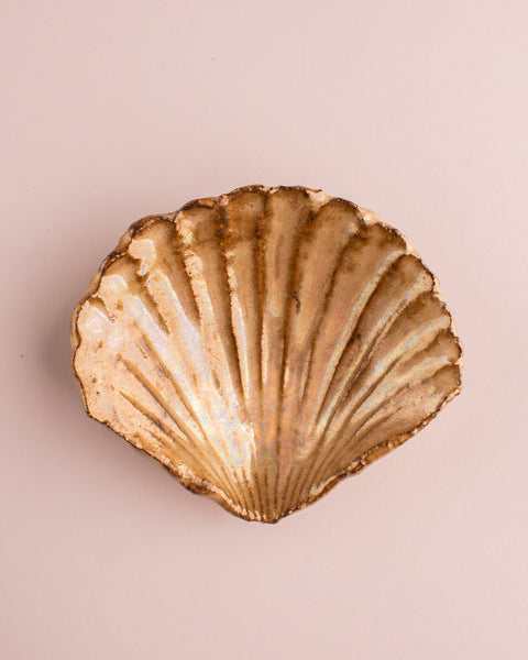 Hilary Green - Pearl Clam Dish 2