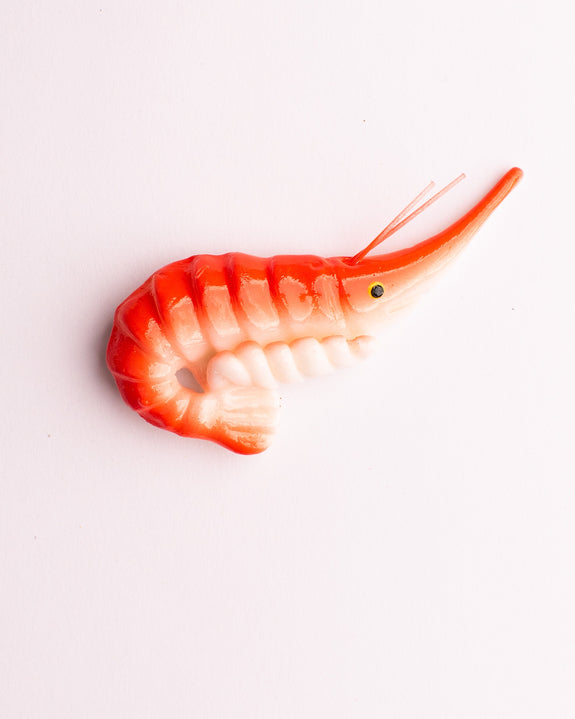 Weird Magnets - Shrimp