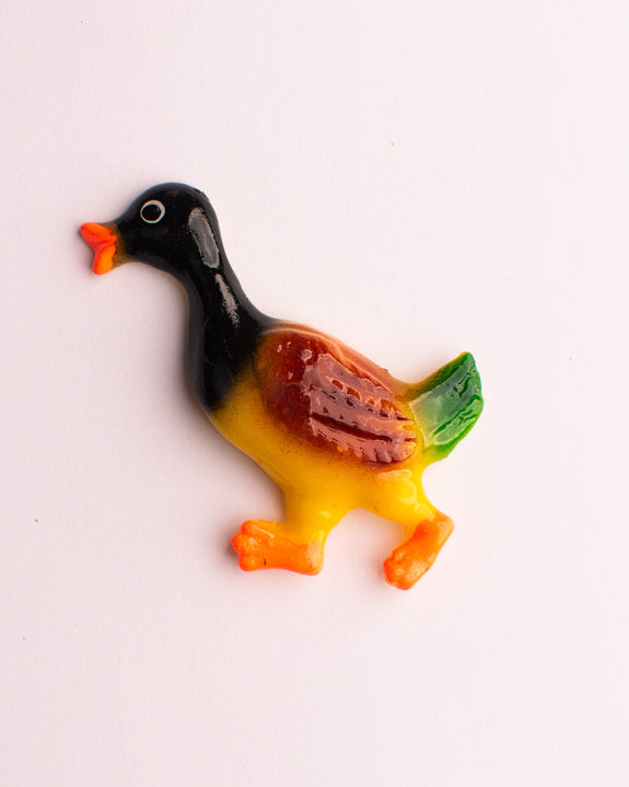 Weird Magnets - Duck