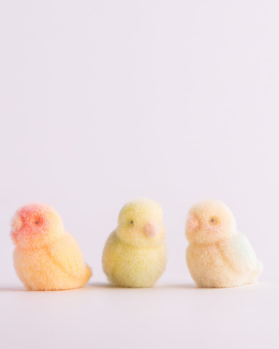 Flocked Mini Baby Budgies