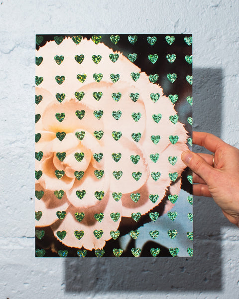 Emily Green - Camelia Hearts - Giclee Print
