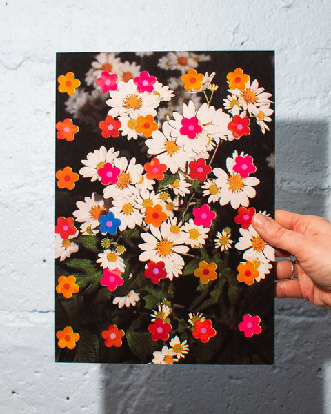 Emily Green - Multi Daisy - Giclee Print