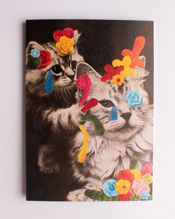 Melissa Osborne - Piped Pals