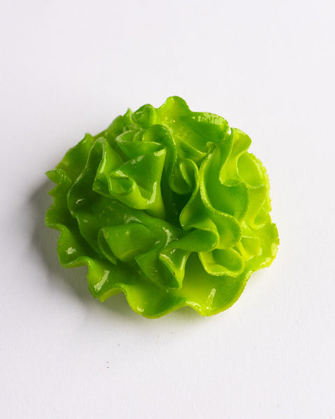 Weird Magnets - Lettuce