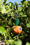 Baggu - Mandarin Charm - Orange
