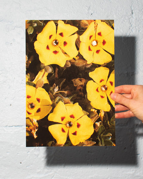 Emily Green - Golden Girls - Giclee Print