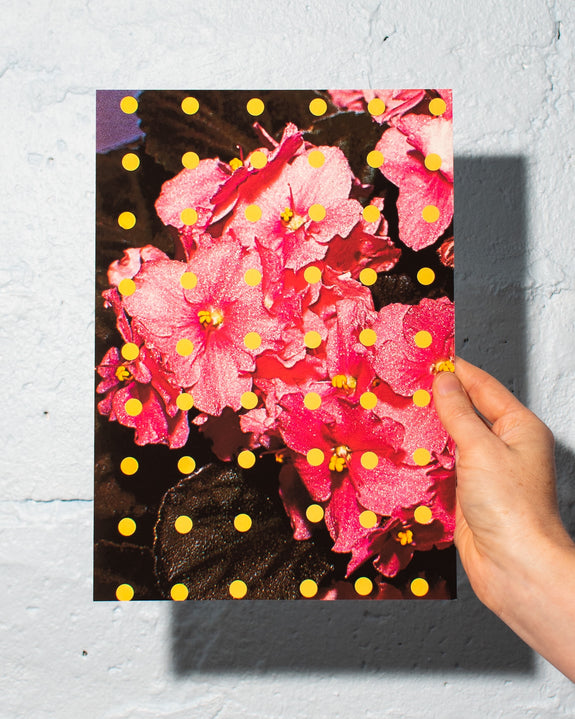 Emily Green - Pink Polka Violets - Giclee Print