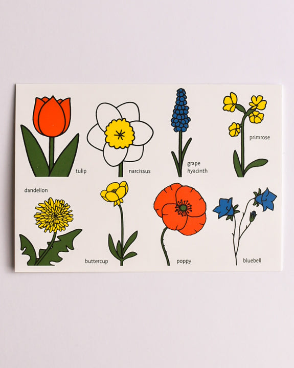 Miffy - Postcard - Flowers