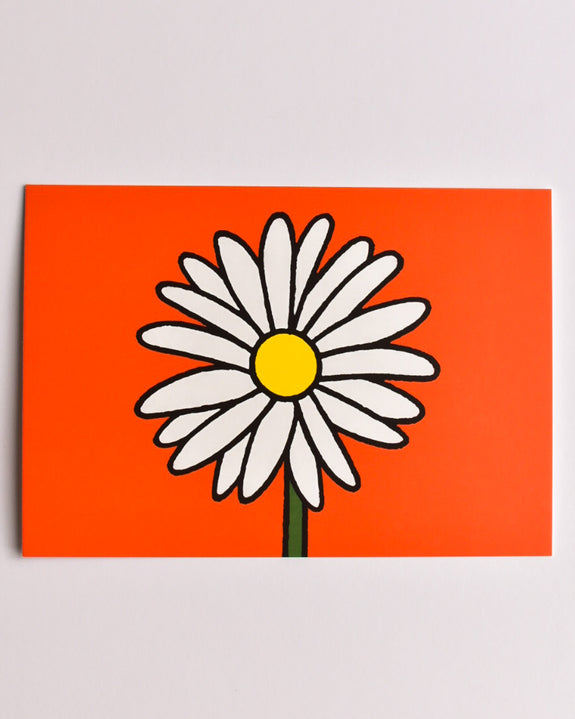 Miffy - Postcard - Daisy