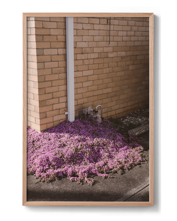Hilary Walker - Lilac, Reservoir 2022