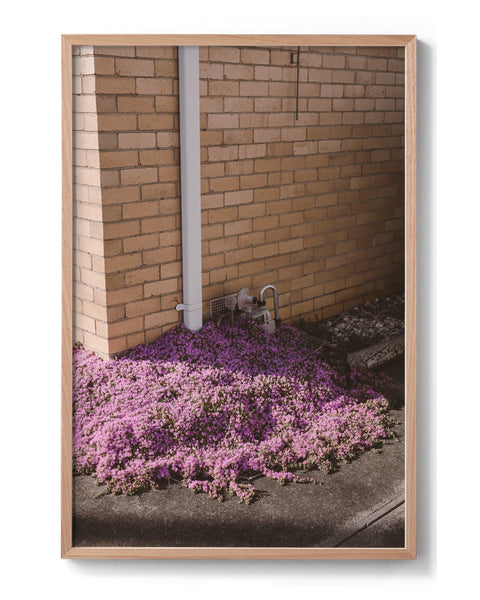 Hilary Walker - Lilac, Reservoir 2022