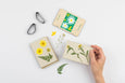 Studio Wald - Pocket Flower Press - Daisy