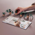 Pikkii  - Paper Plants