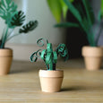 Pikkii  - Paper Plants
