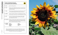The Super Bloom Handbook: Maximum Flowers, Minimum Effort By Jac Semmler