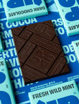 UP-UP Chocolate - Dark Wild Mint 120g