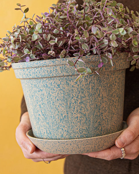 Woljam - Sundae Series Planter - Sky