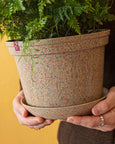 Woljam - Sundae Series Planter - Confetti